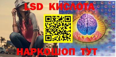 прущие грибы Шебекино
