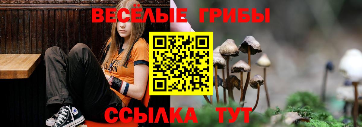 Псилоцибиновые грибы ЛСД  Вход с VPN  Бийск 